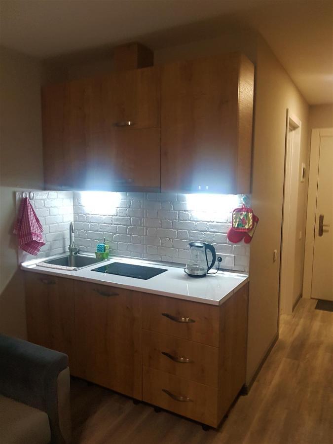 New Gudauri Loft 2 - "Mano", Near Ski Lift Gondola Dış mekan fotoğraf