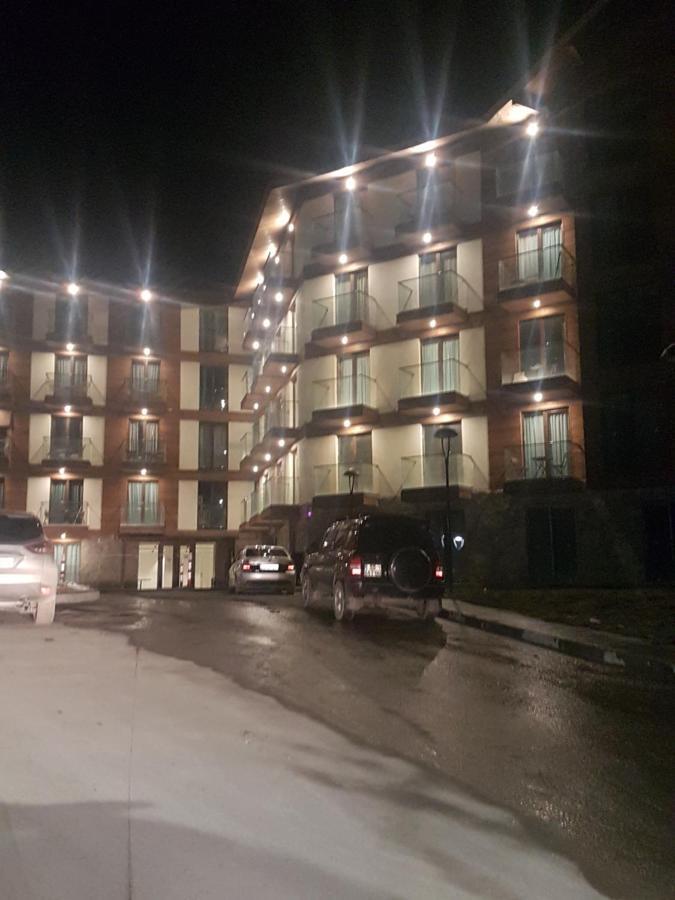 New Gudauri Loft 2 - "Mano", Near Ski Lift Gondola Dış mekan fotoğraf